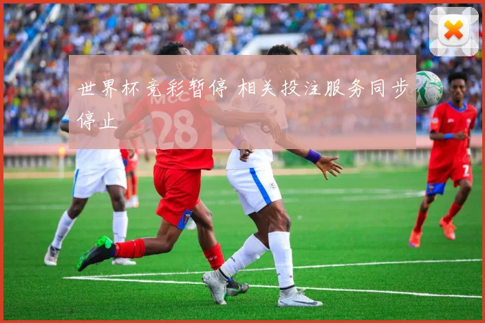 世界杯竞彩暂停 相关投注服务同步停止