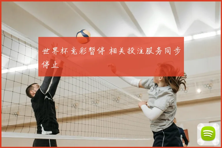 世界杯竞彩暂停 相关投注服务同步停止